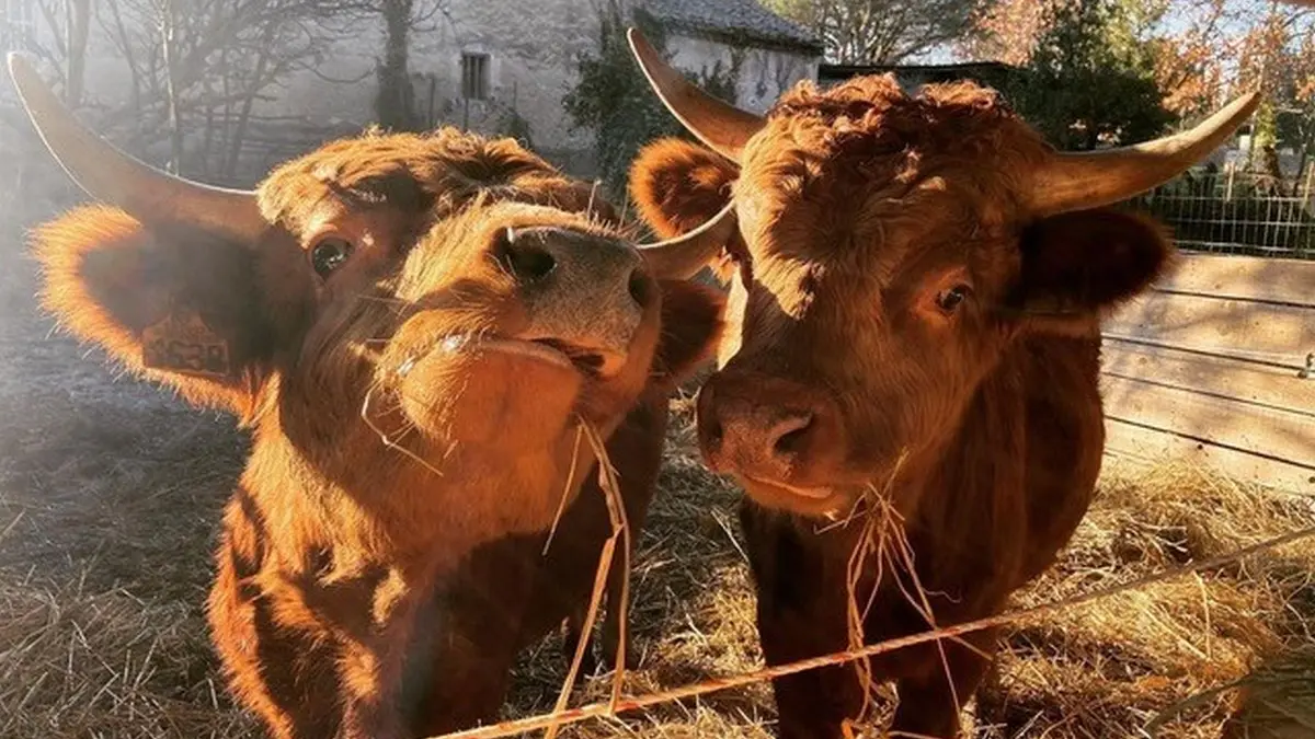 La Petite Ferme Pédagogique à Saint-Rémy-de-Provence