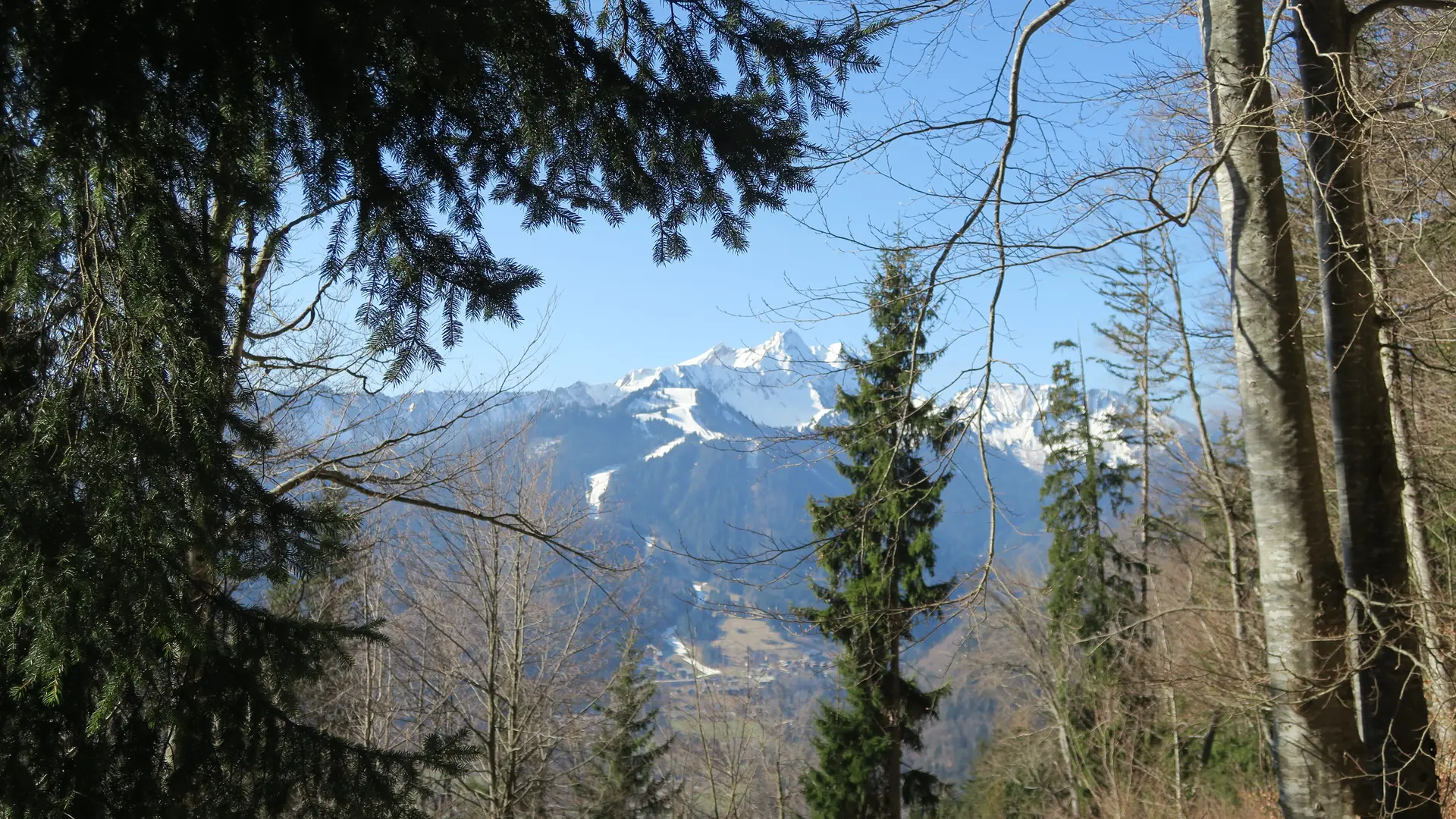 Roc d'Enfer à travers les arbres