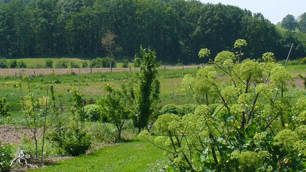 Sentier botanique