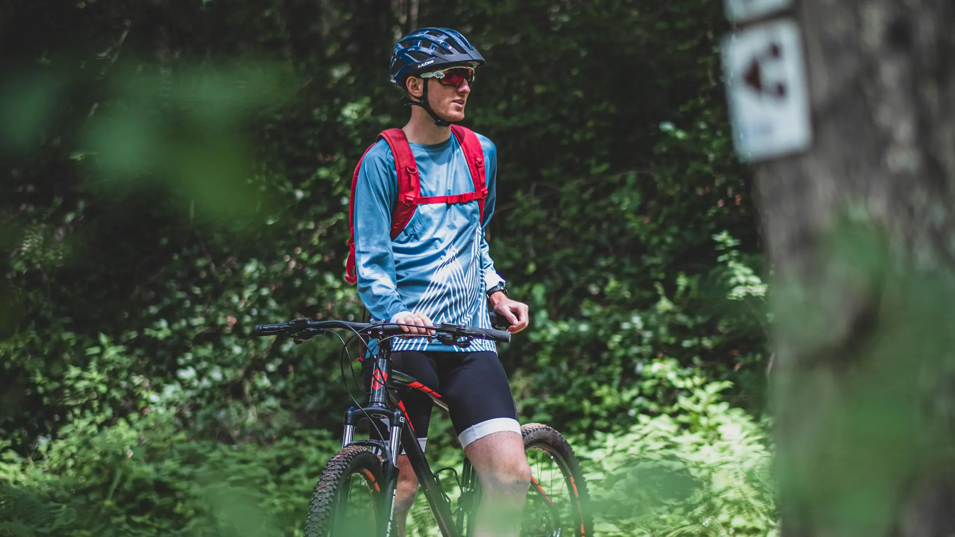 Cycliste en forêt des Bois Noirs