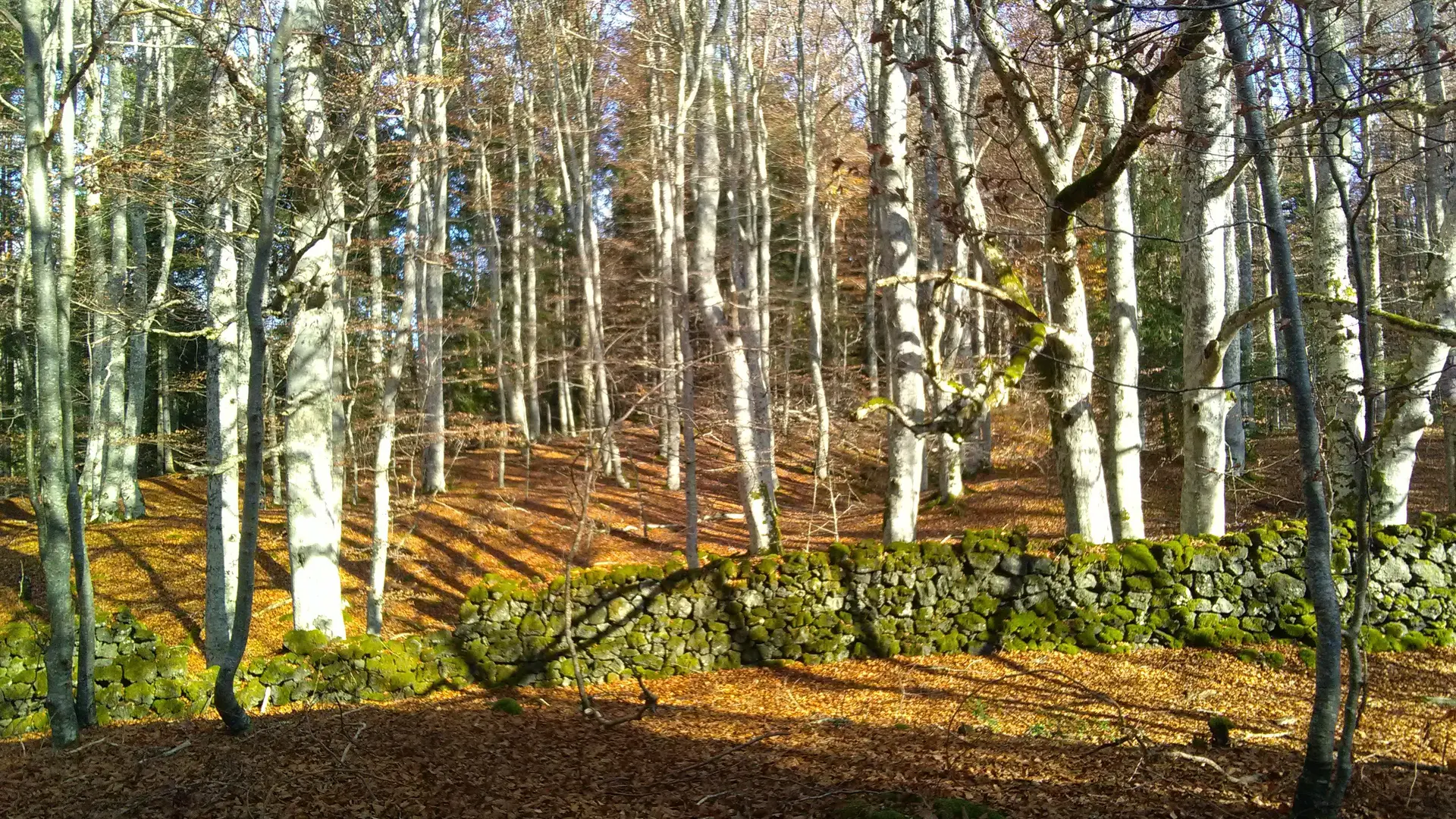 Randonnée VTT La Belle Volcanique