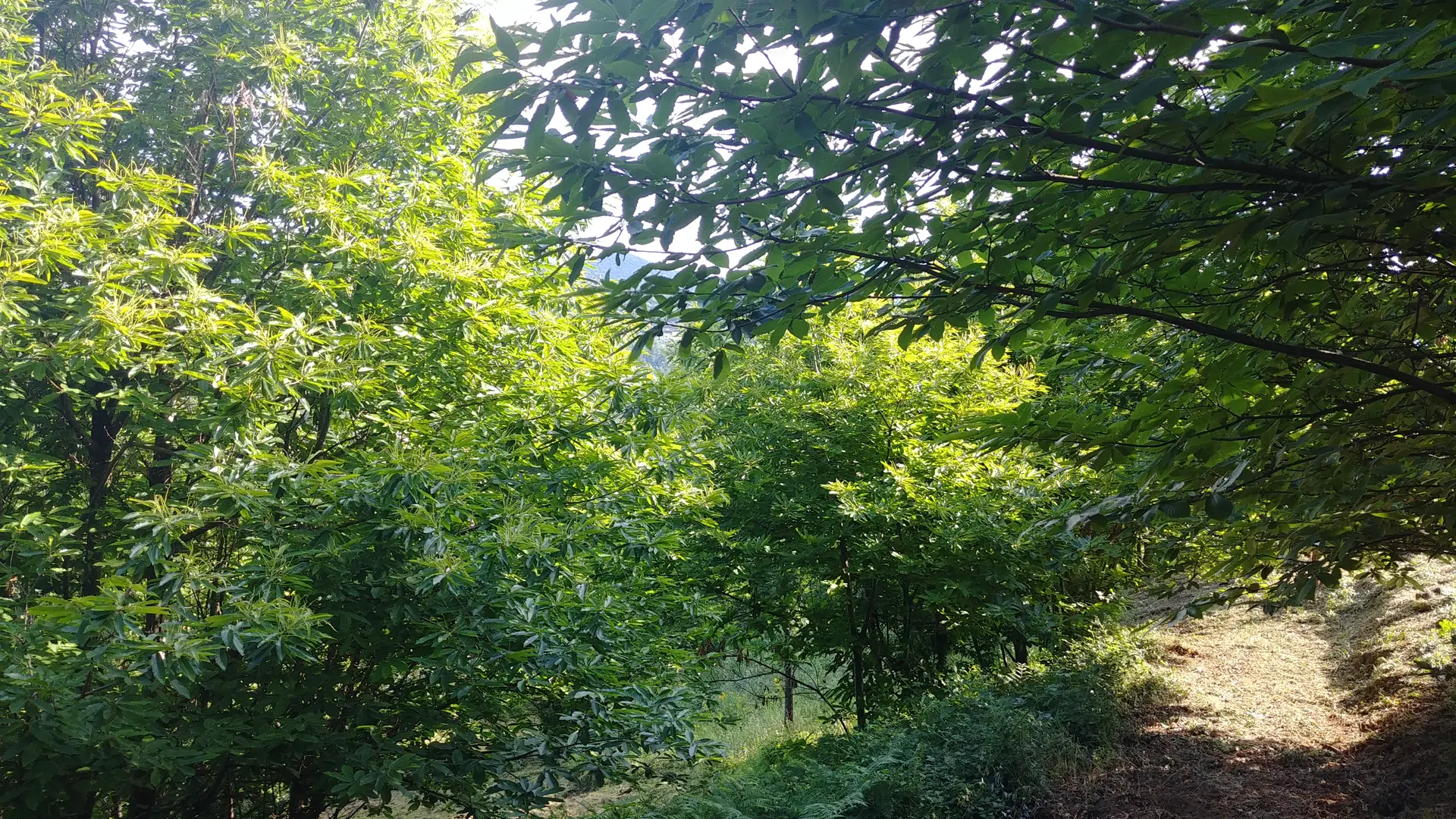 Patrimoine naturel en Méditerranée Porte des Maures