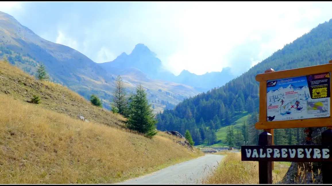 Entrée du camping en été