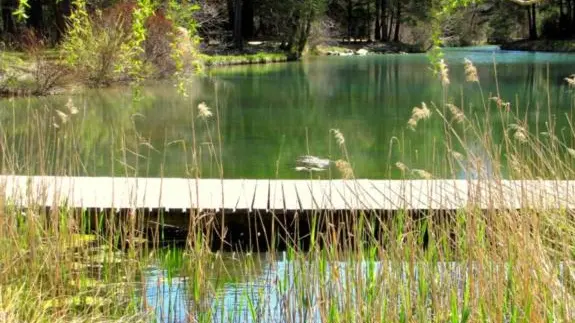 Intérieur camping en été -lac