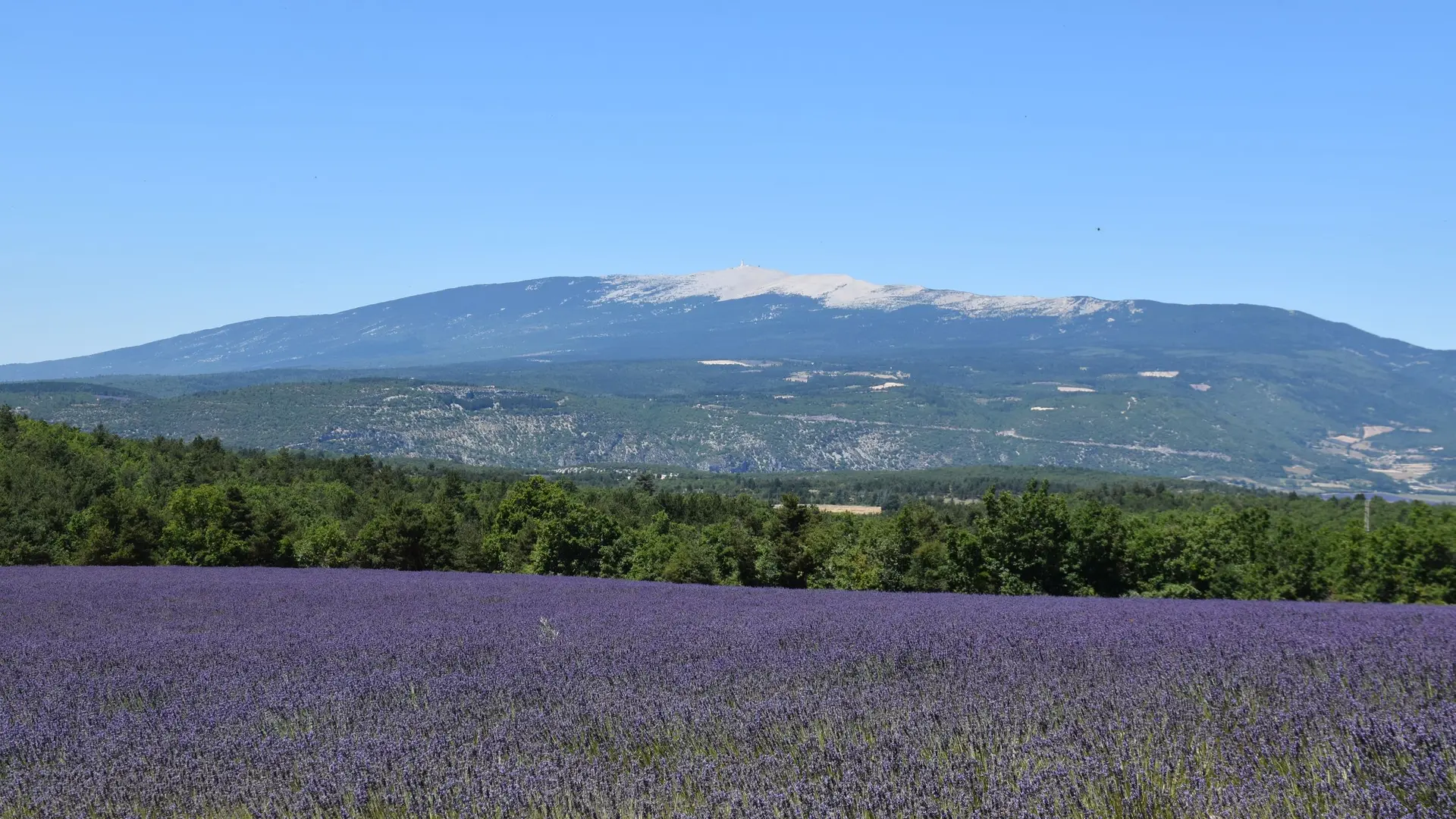 Vue Ventoux