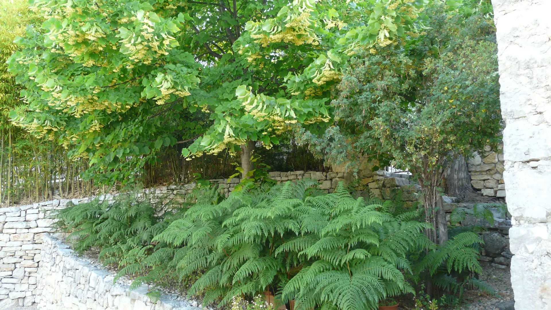 Extérieur Gîte Le Casaou labellisé Gîtes de France Côte d'Azur Alpes-Maritimes à La Colle sur Loup