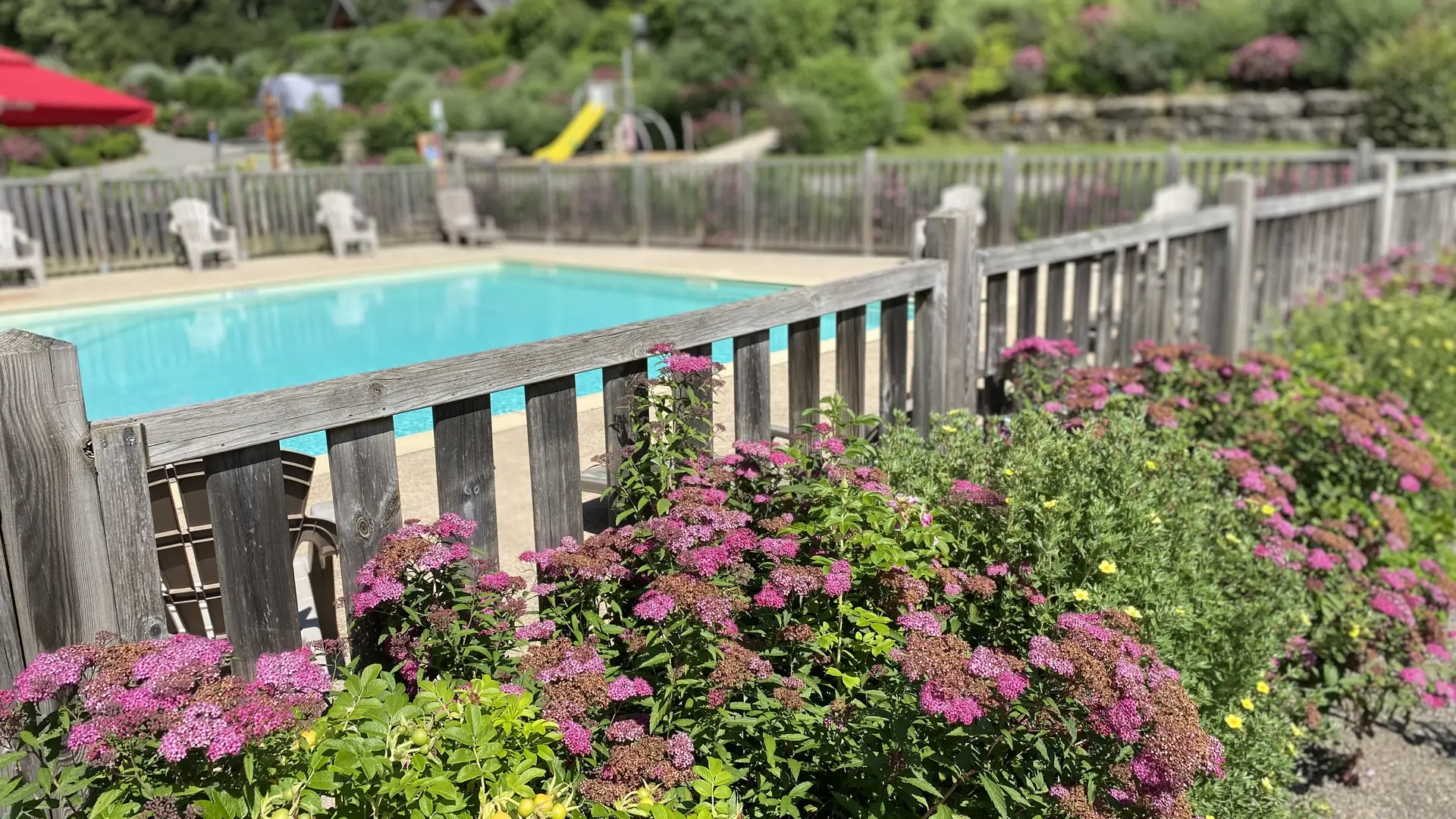 piscine camping 12 cols ain fleurs
