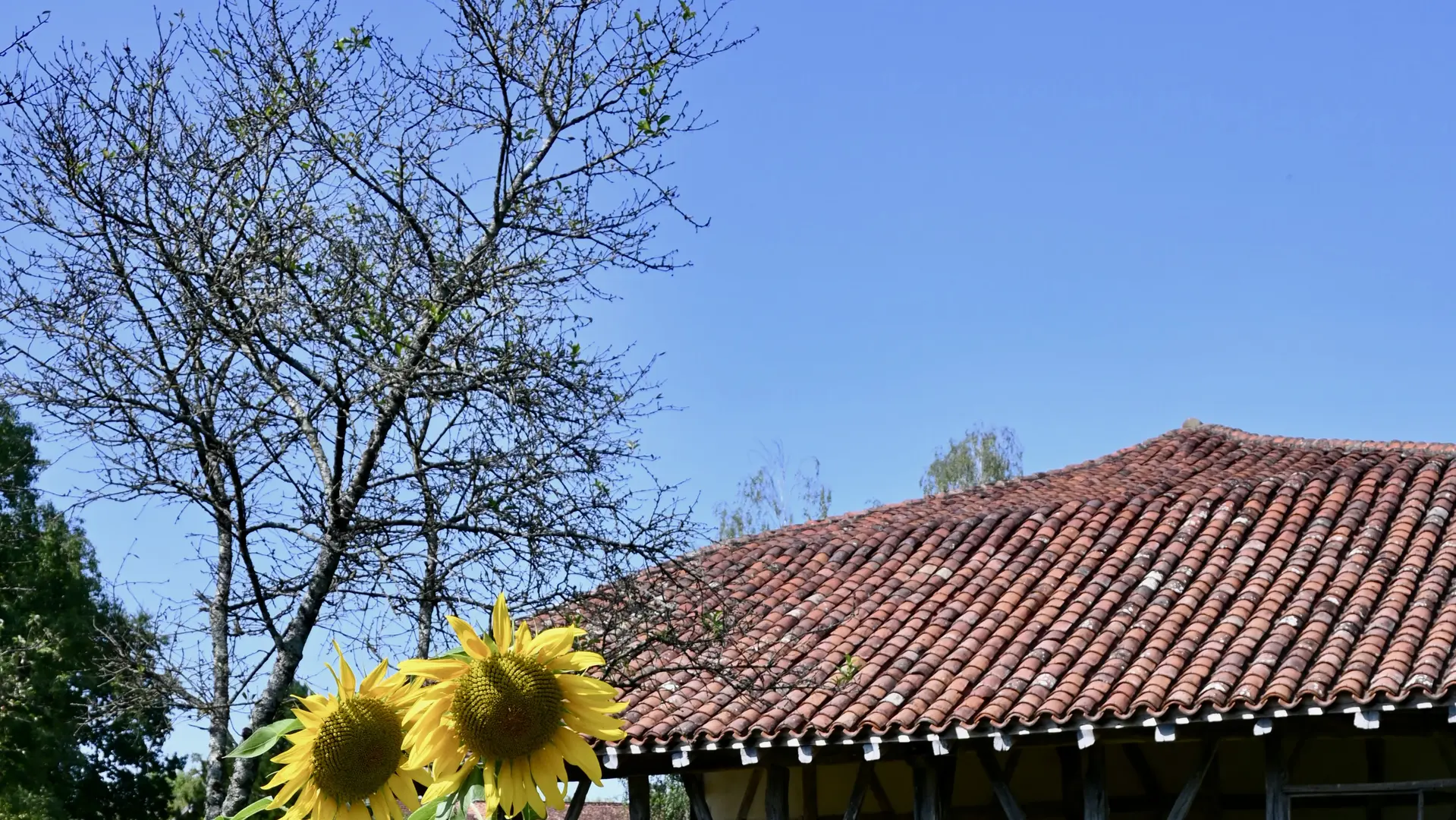 La Ferme de la Forêt à Courtes depuis le jardin potager