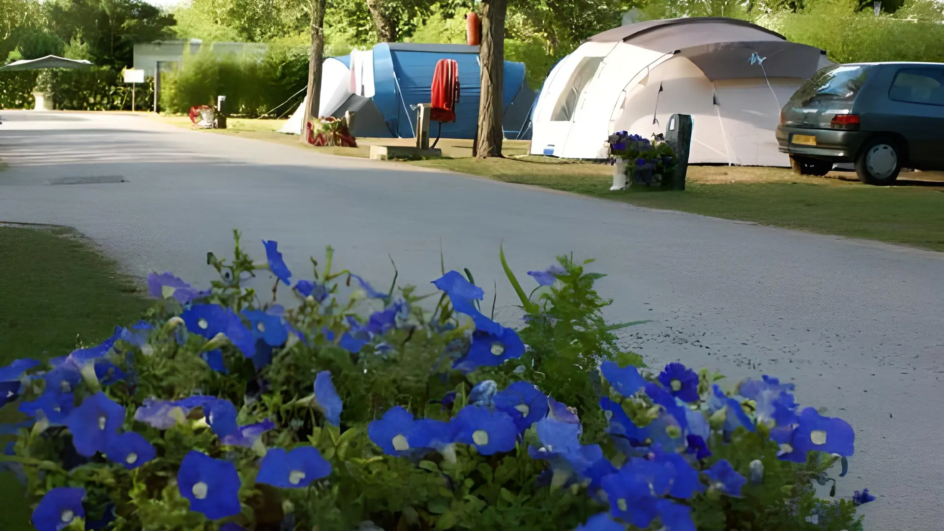 Camping Le Puma - Allée du Puma - Emplacements