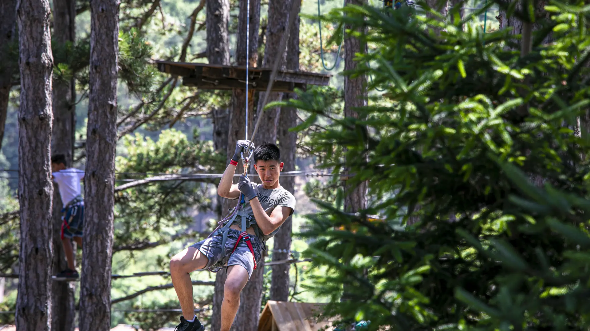 Parcours accrobranche