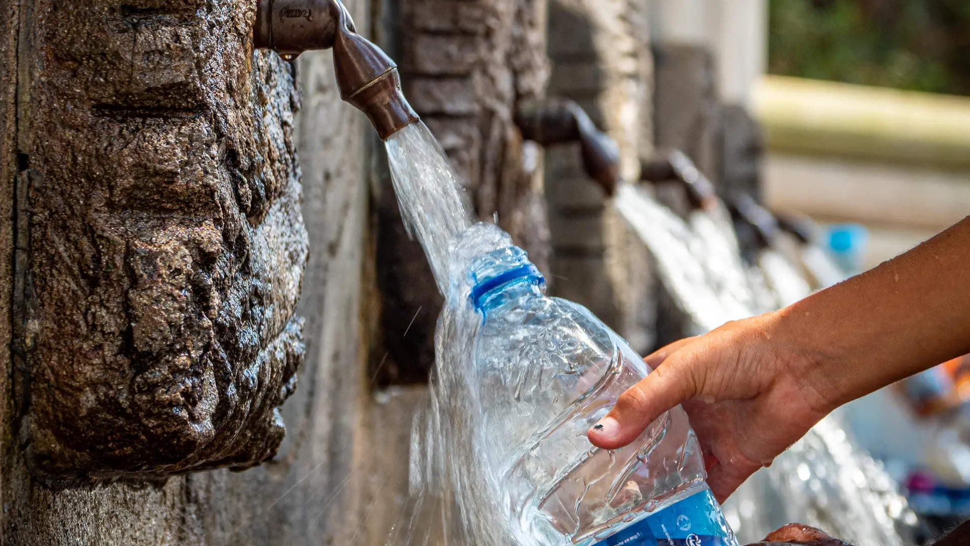 Spring water from Plum Fountain