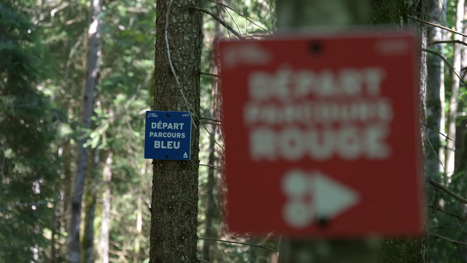Balisage du ludoparc Parcours bleu et rouge