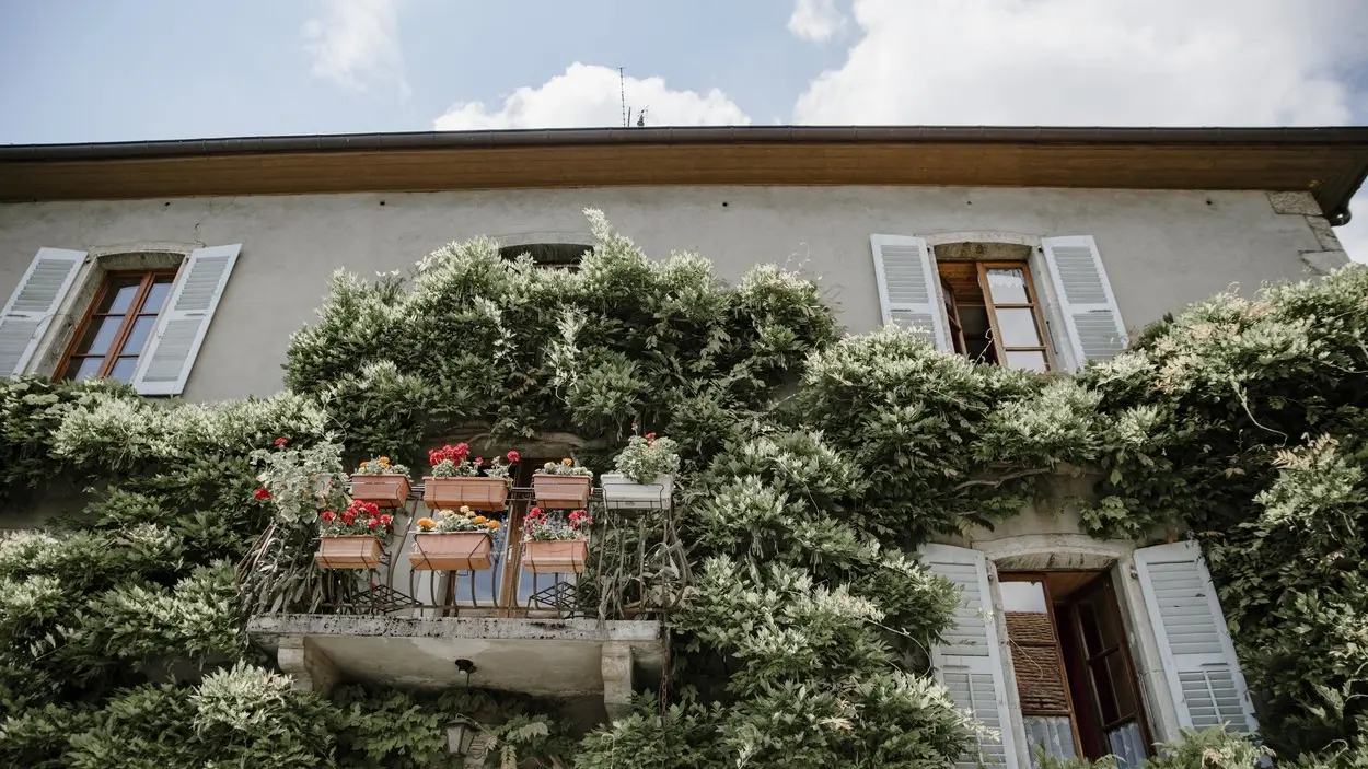 Gîte les Rapilles - Marignier