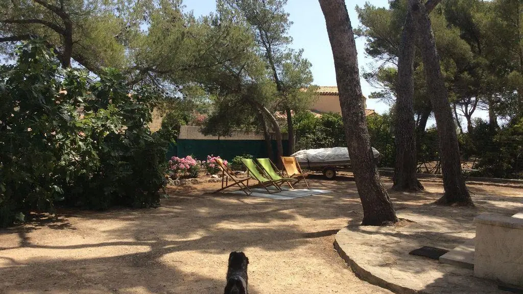 photo14