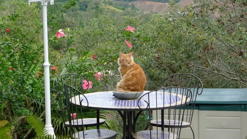 Gîte Tour du Monde