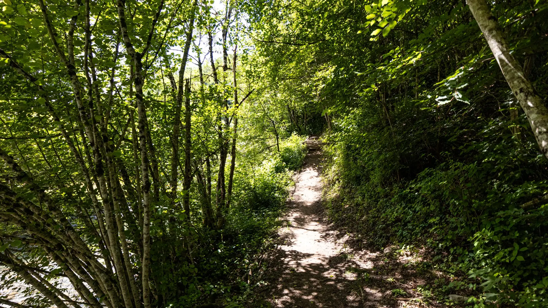 sentier