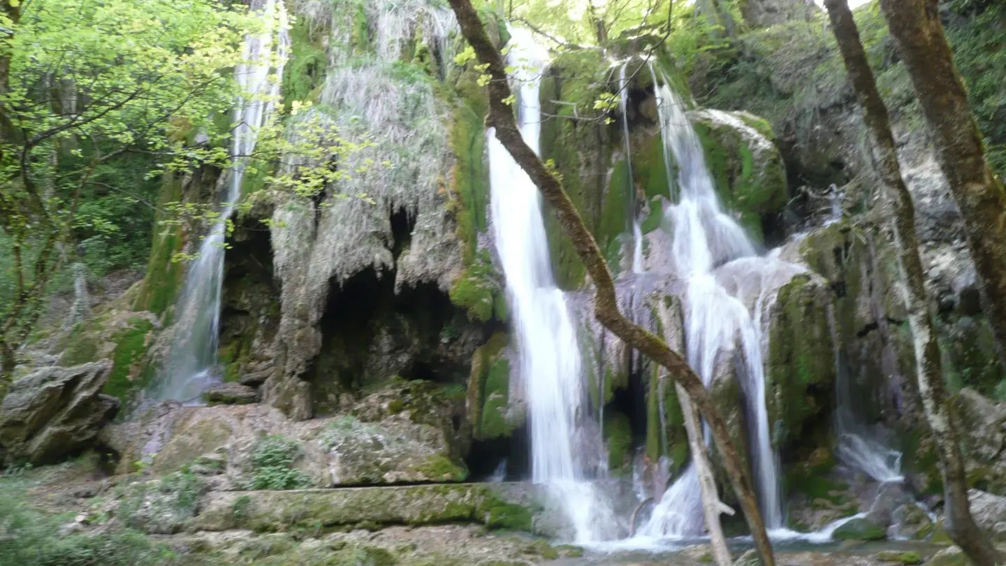 Cascade Claire Fontaine