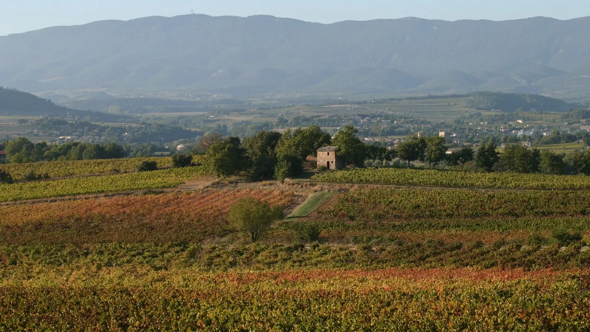Vignes du Pays d'Aigues et Grand Luberon