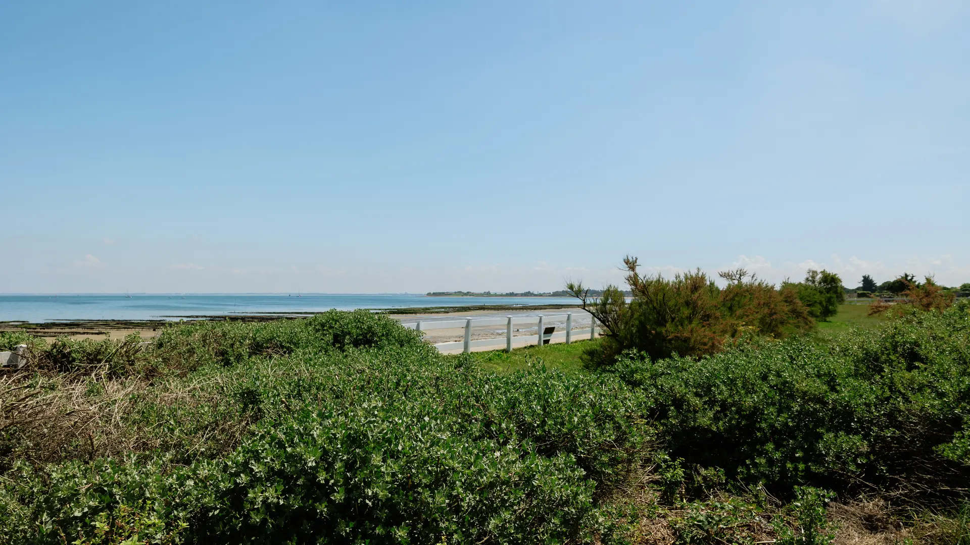 Le panorama