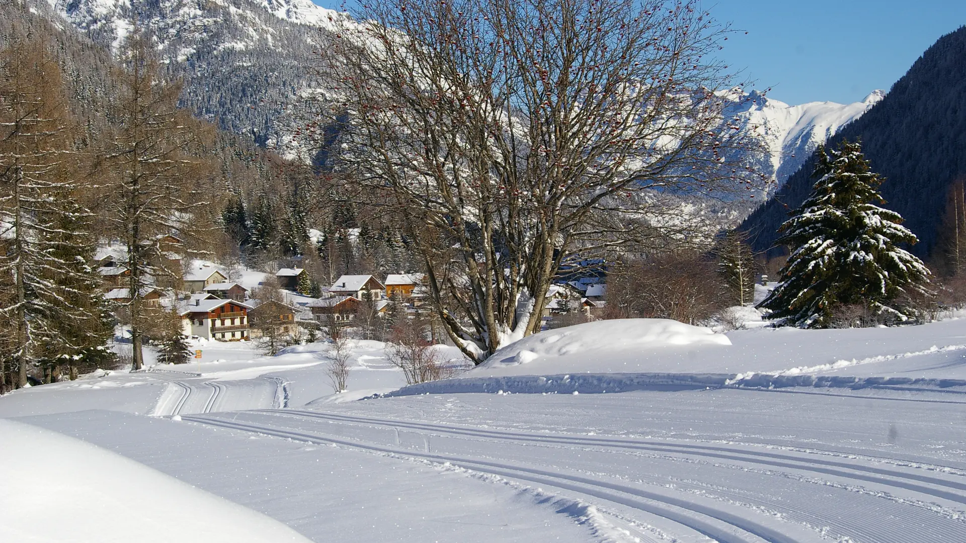 Vue sur la piste de fond avec de la neige fraiche