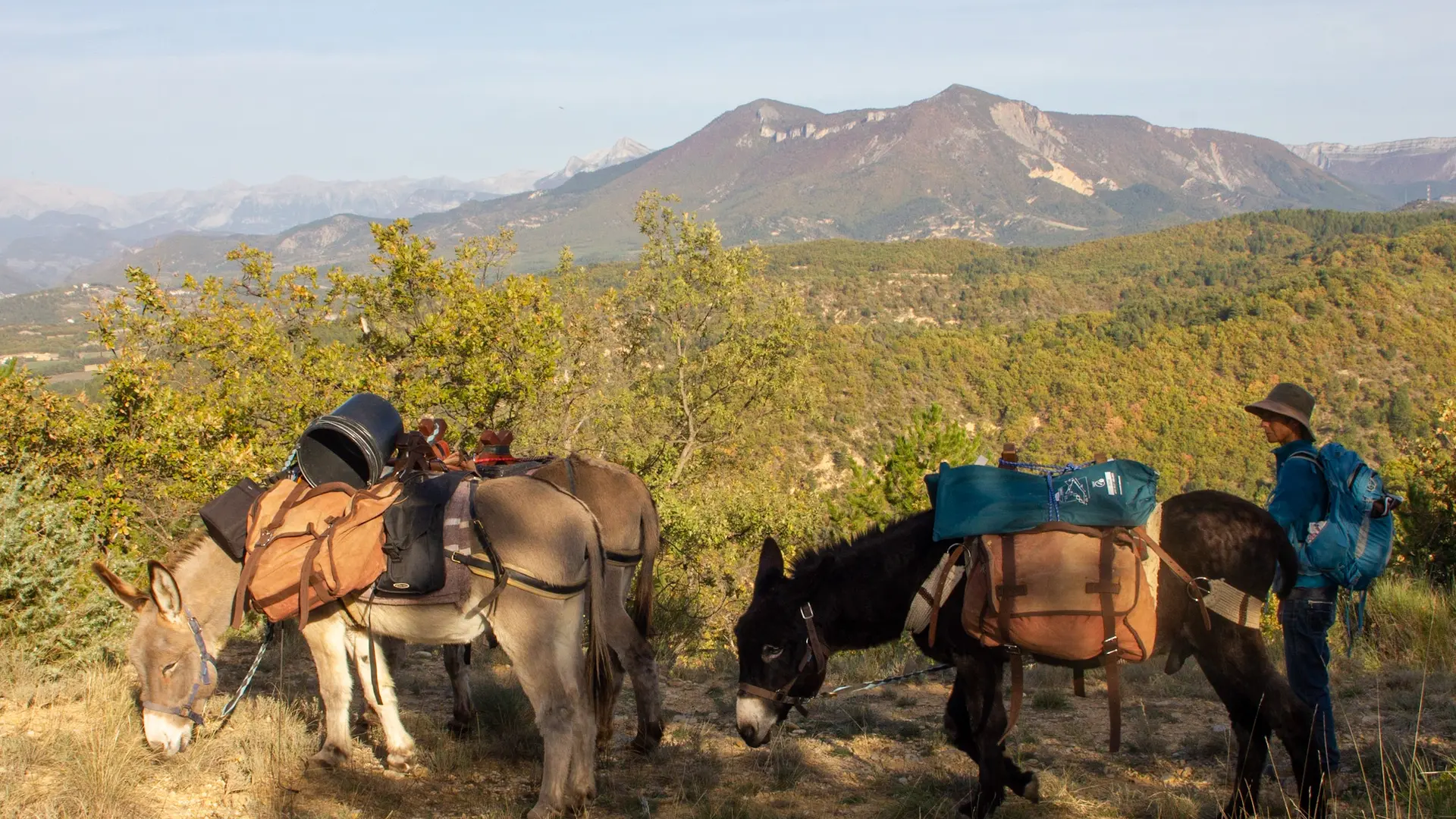Balade avec Tis'Ânes