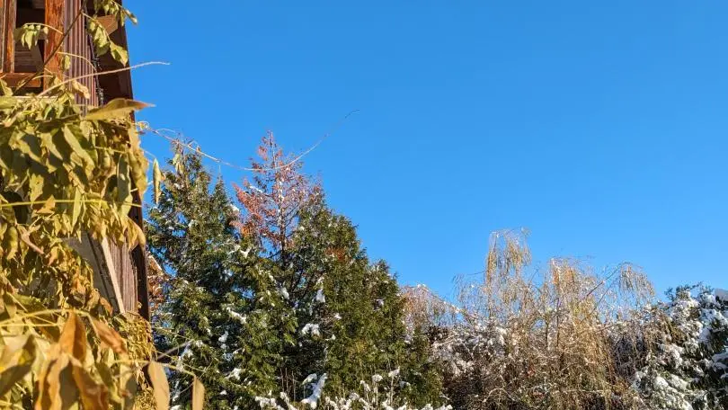 La cabane aux enfants s'est parée de neige.