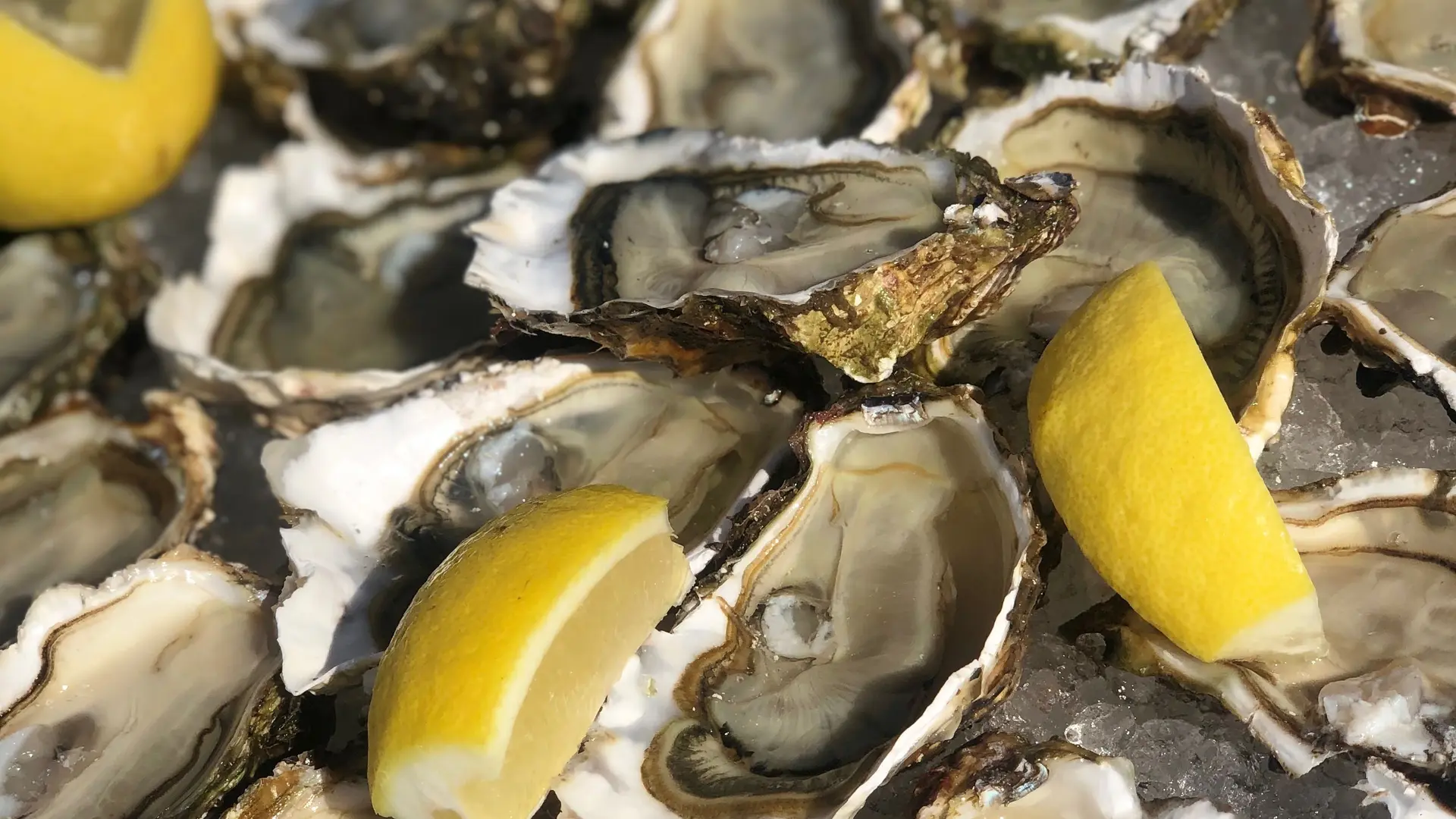 Plateau d'huitres
