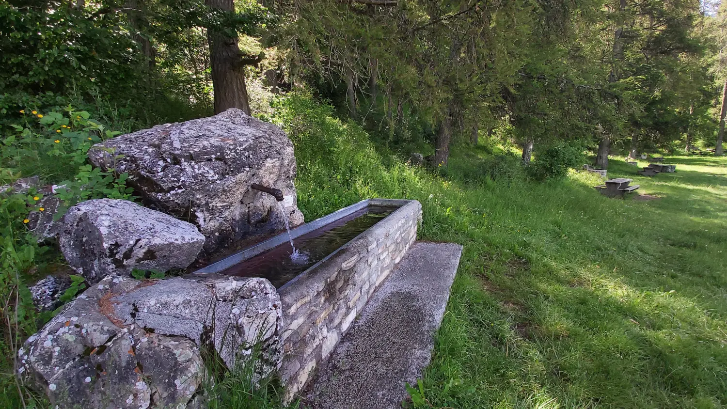 Pique-nique et barbecue au Plateau de Libouze