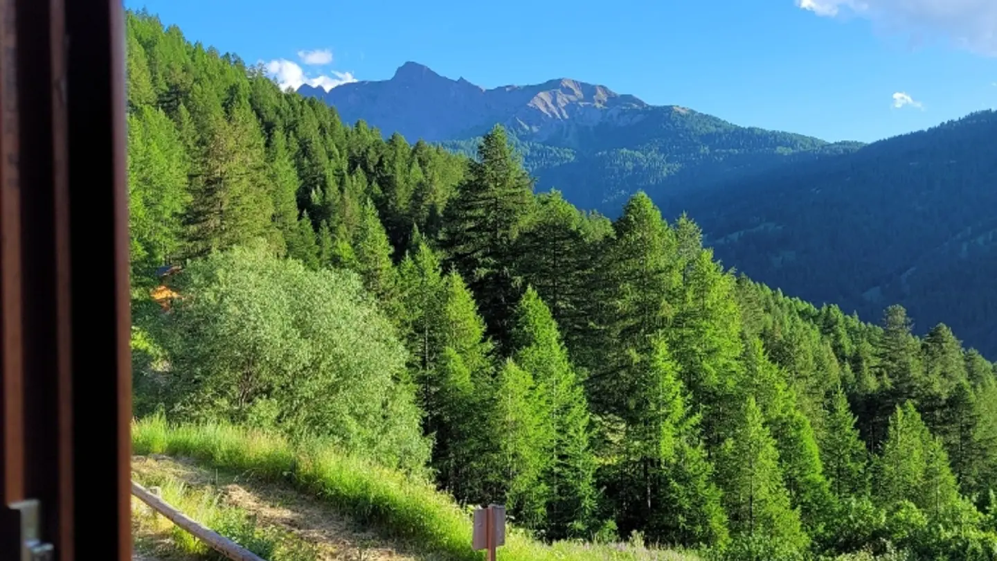 Vue montagne