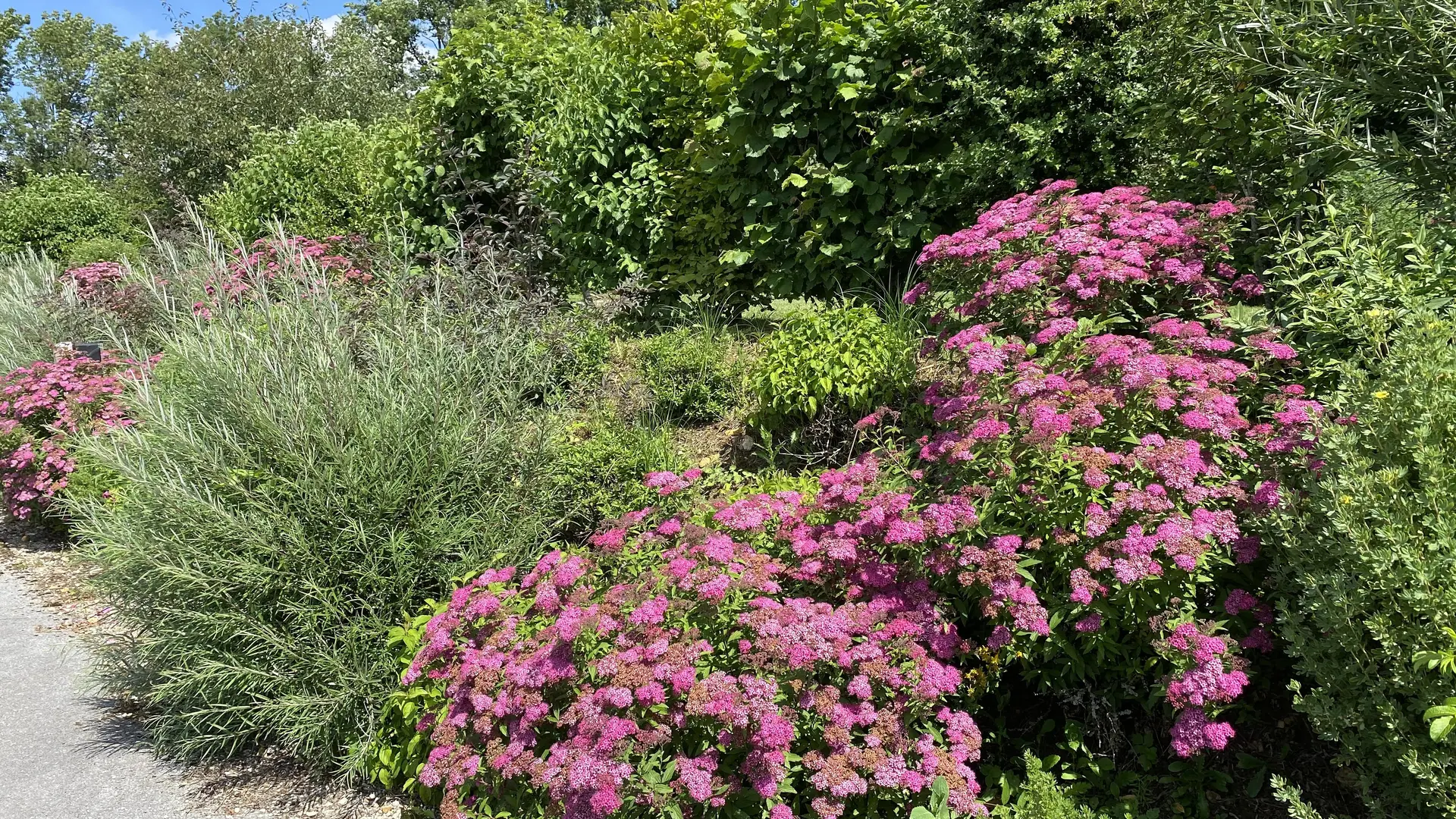 Fleurs jardin camping 12 cols