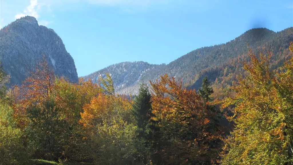 Féerie d'automne et première neige sur les montagnes