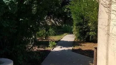 Pathway in the garden