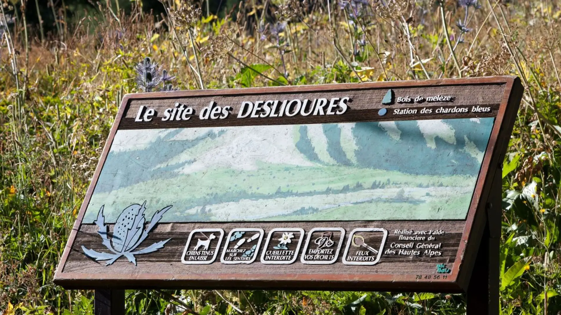 Réserve biologique des Deslioures