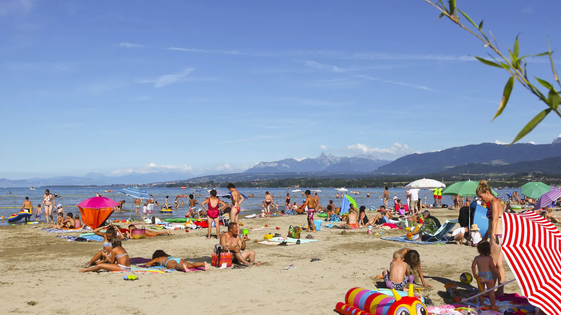 Plage en été