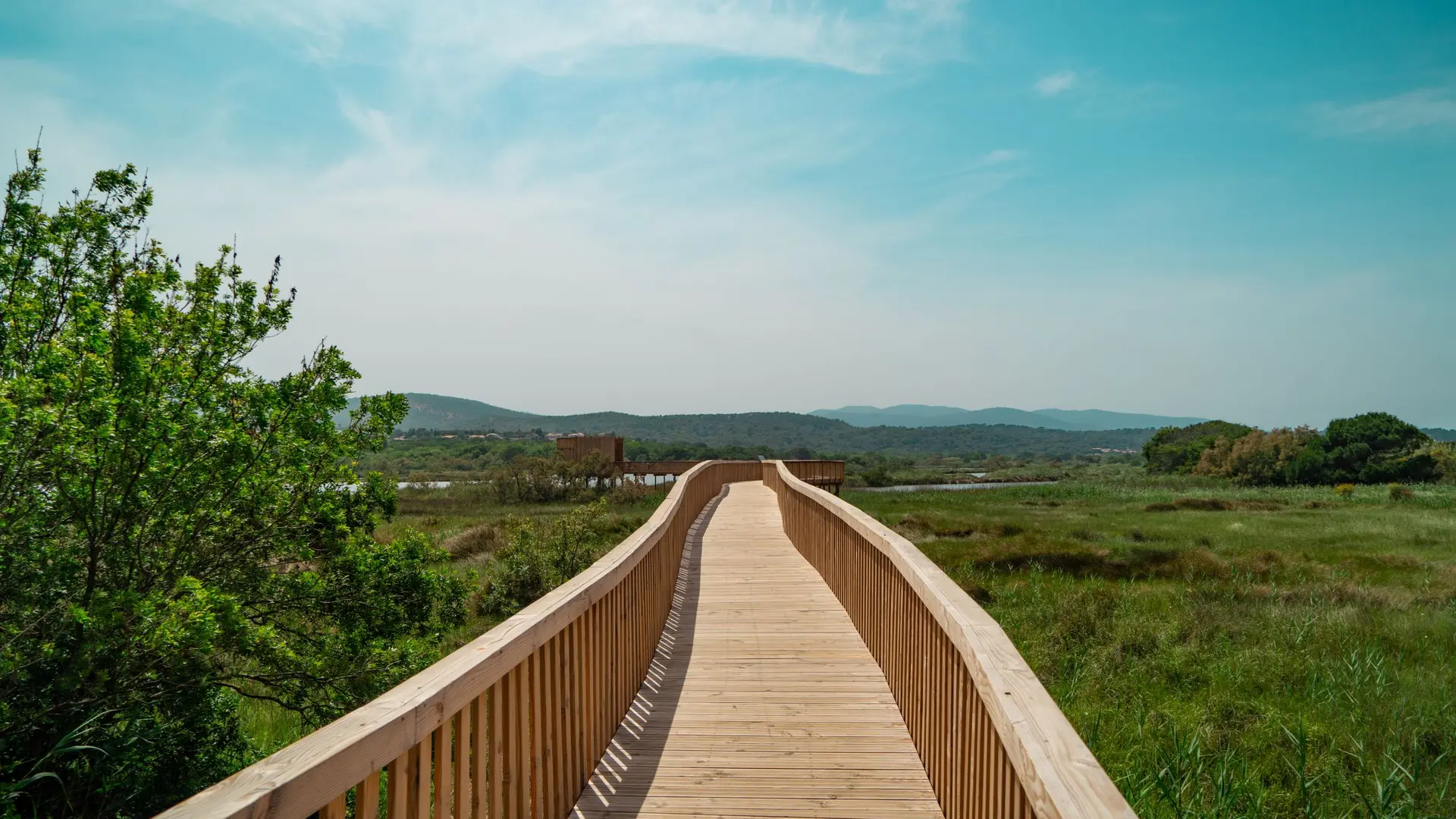 Etang de villepey, petite camargue du var