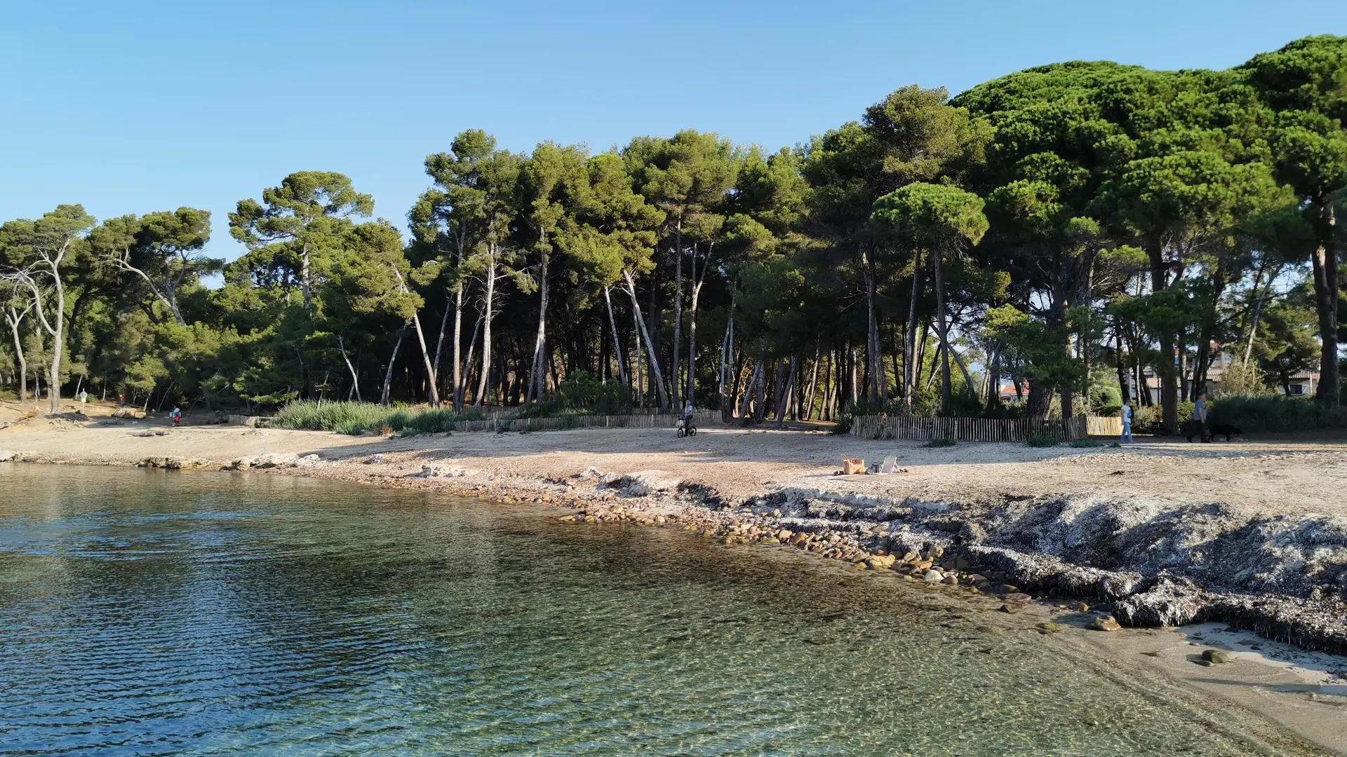 Plage et pinède St Asile à Pin Rolland