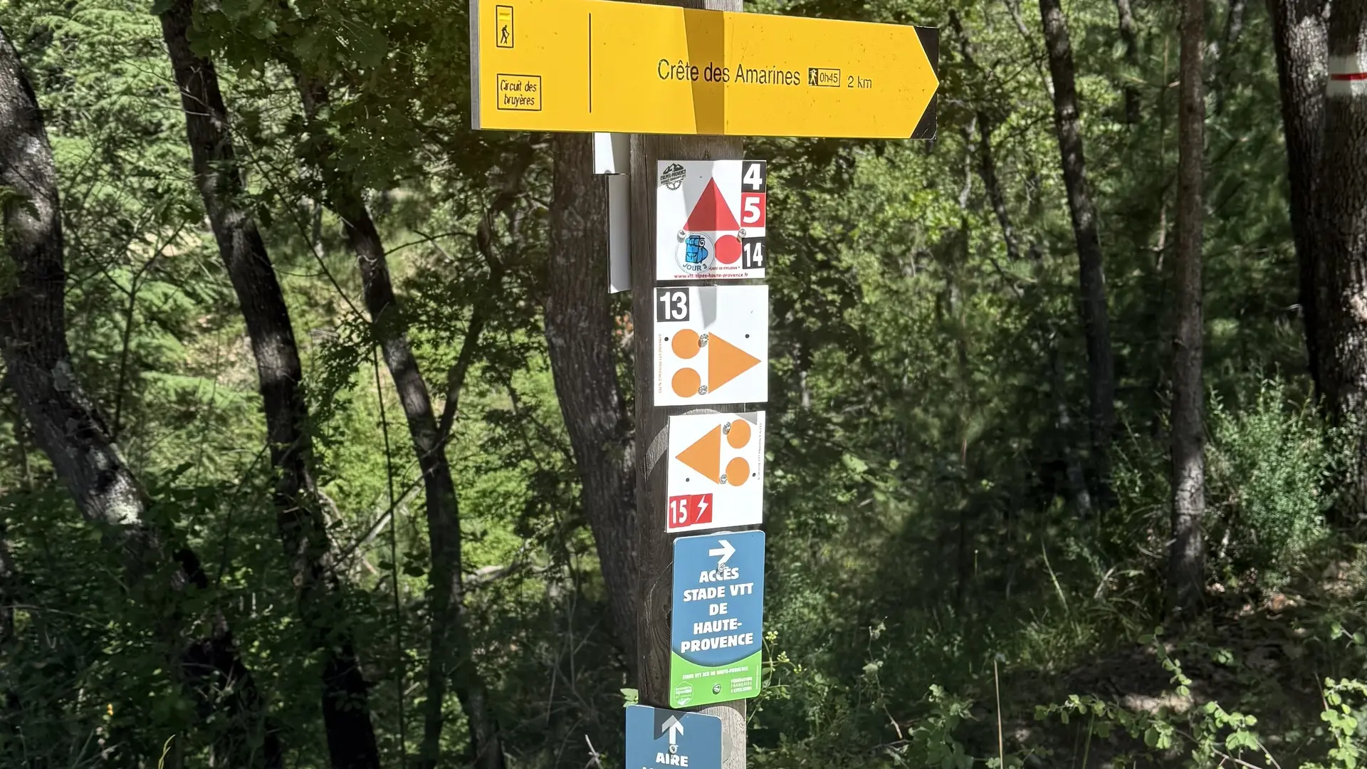 Aire ludique de maniabilité