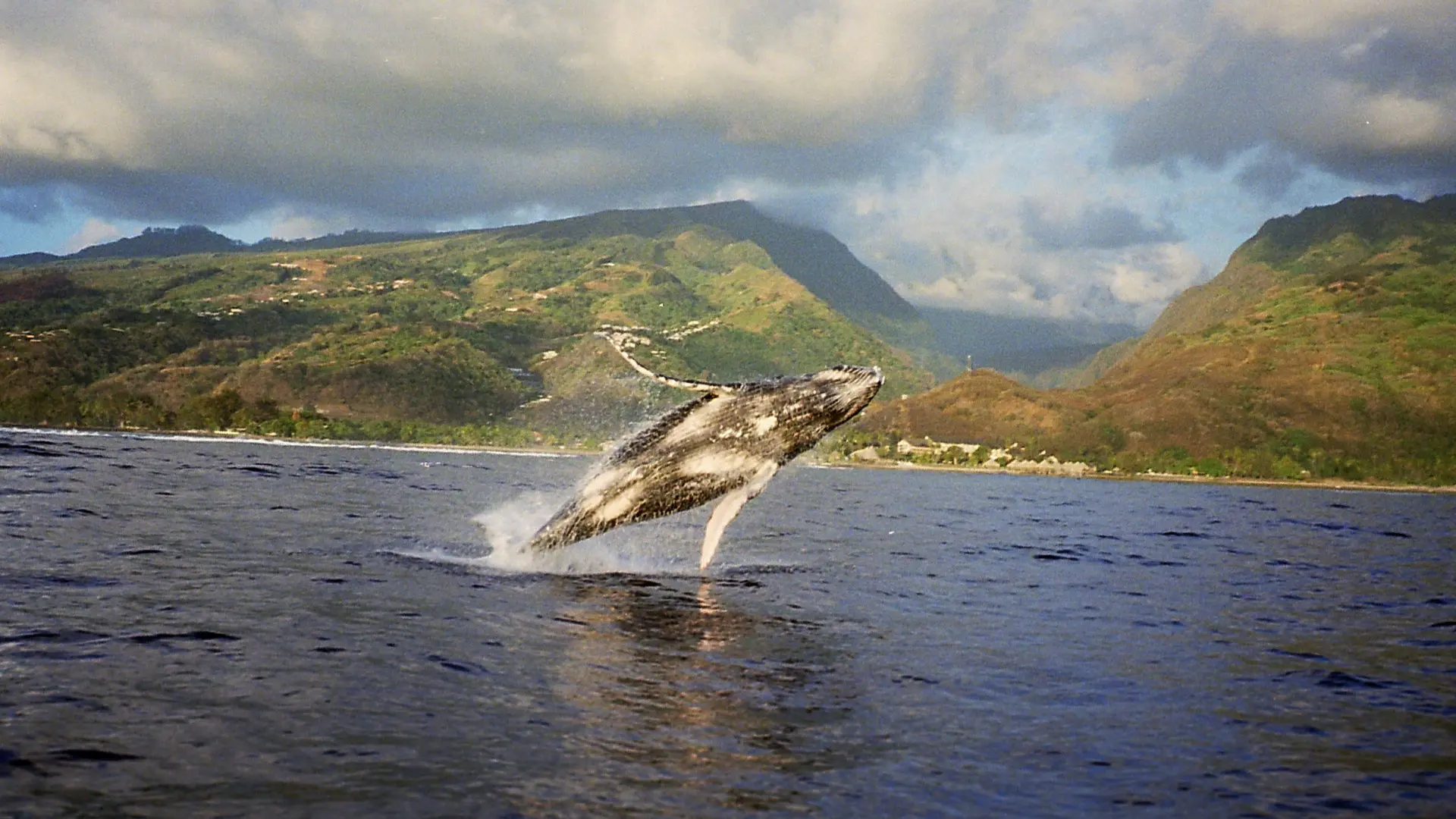 Tahiti Dream Tours