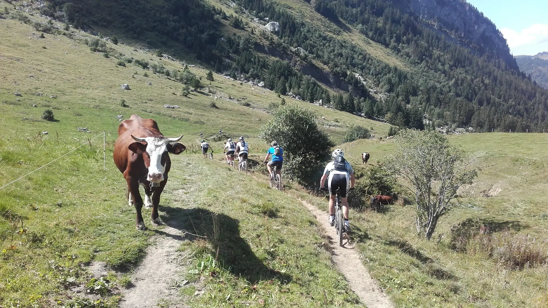 Ecole de VTT des Aravis