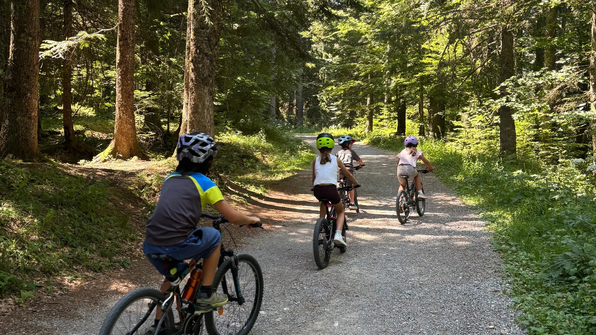 VTT