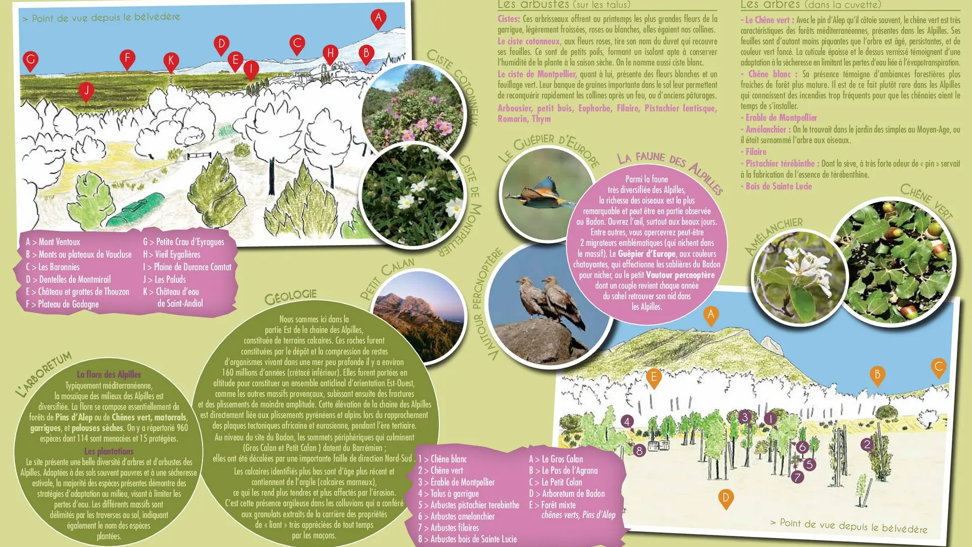 Brochure du PNRA Arboretum de Badon Eygalières