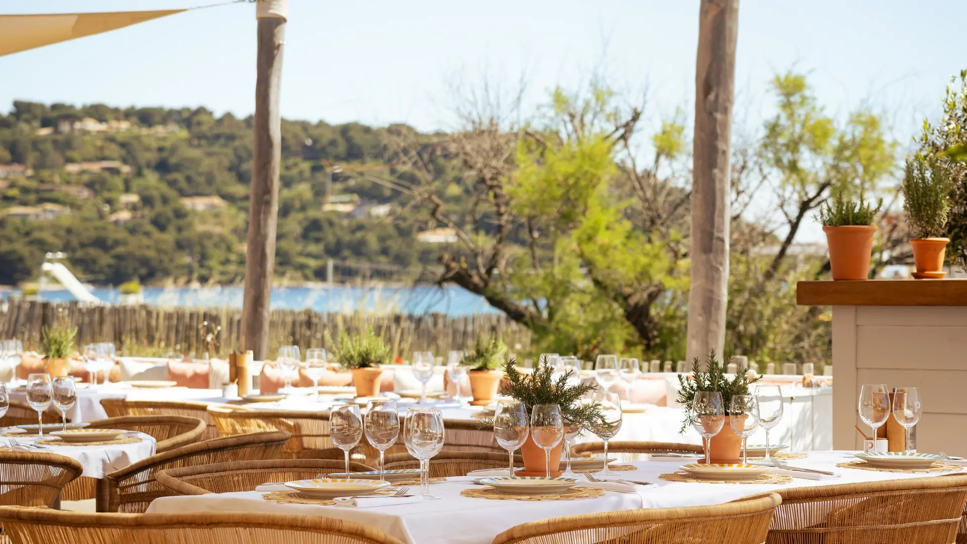 Club Les Palmiers