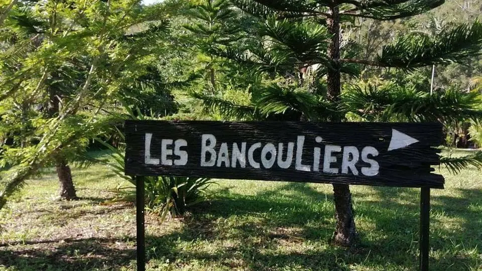Les Bancouliers