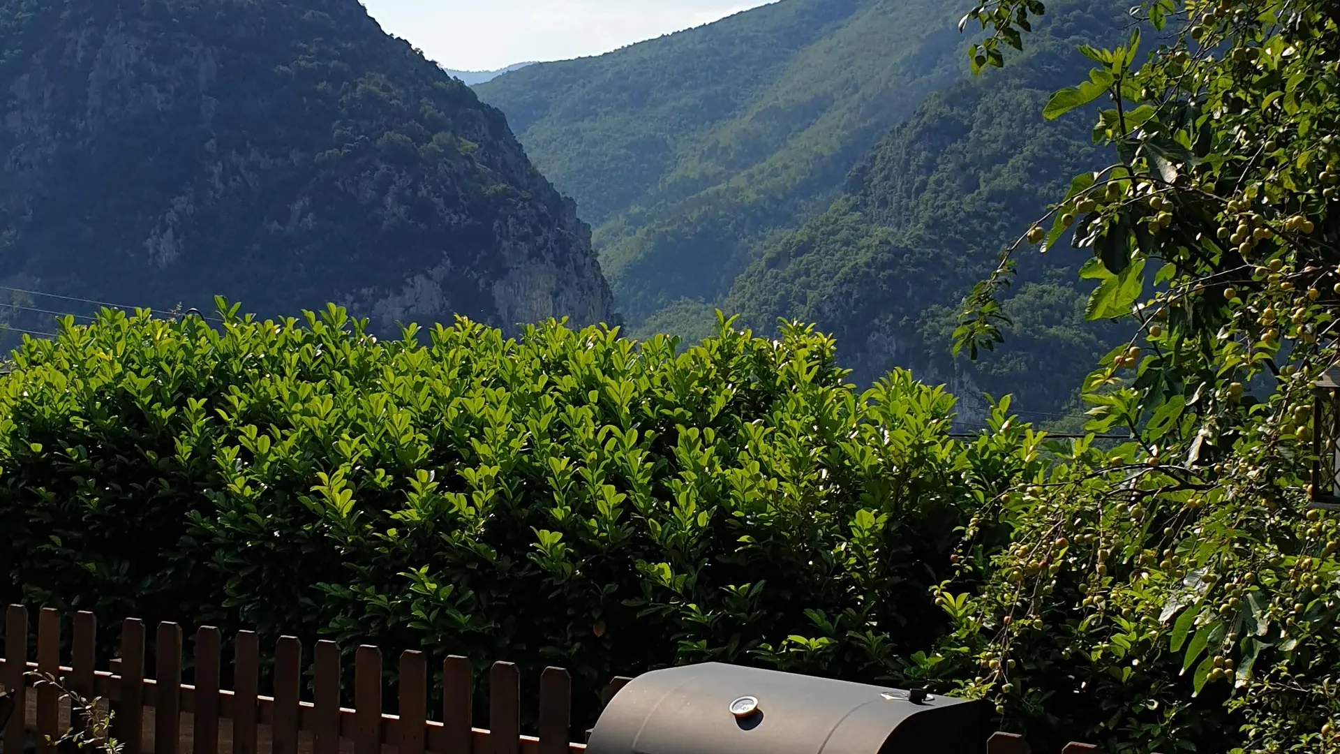 Barbecue à charbon de bois