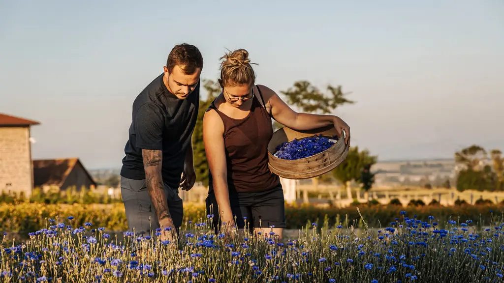 Thomas & Camille Les Plantes de Tomine