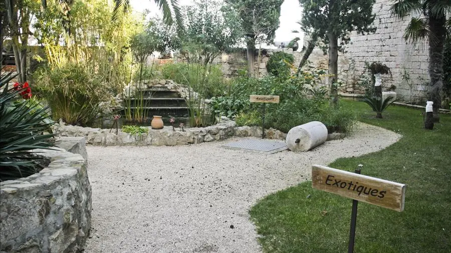 La Seyne/Mer : jardin du musée Balaguier