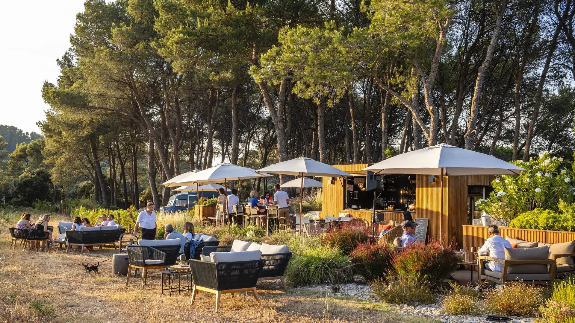 Hôtel Domaine La Pierre Blanche Eygalières bar L'Ambar