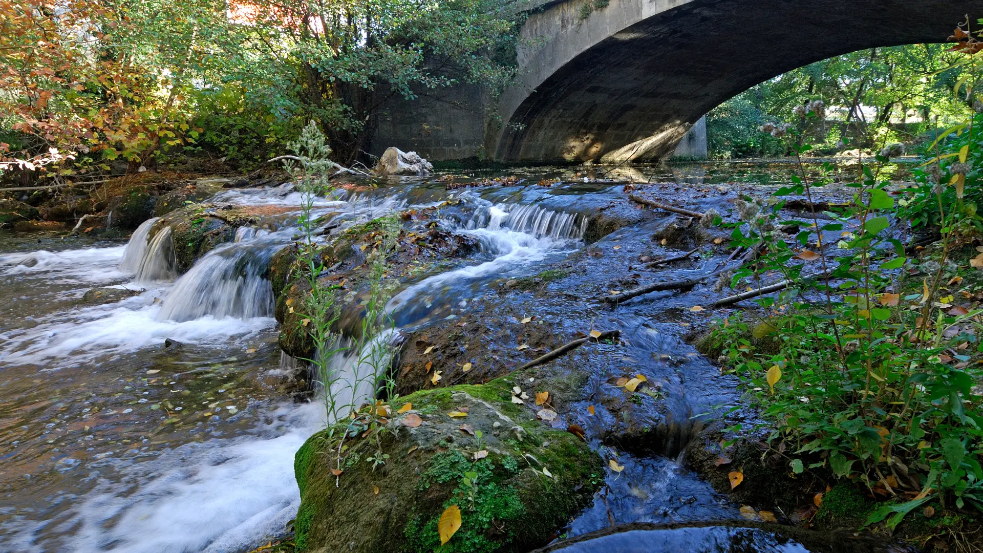 Berge du Caramy_Brignoles