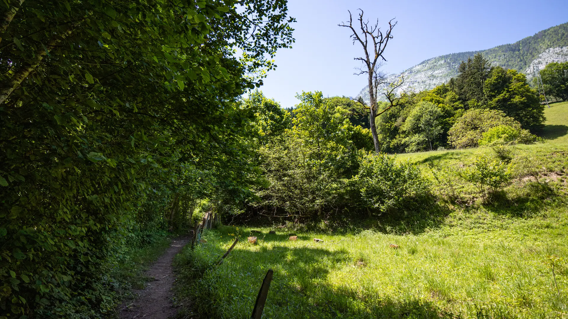 sentier