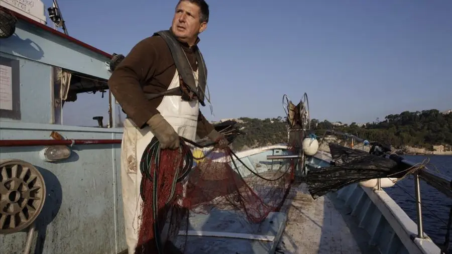 Thierry Raut, patron pêcheur